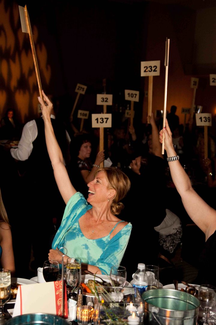 Annual Chinese Auction, June 25, 2010