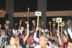 HSMAI 29th Annual Chinese Auction