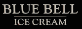 Blue Bell Ice Cream - 8th Annual Santa's Summer Safety Splash